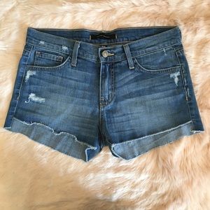 NWOT Flying Monkey Shorts